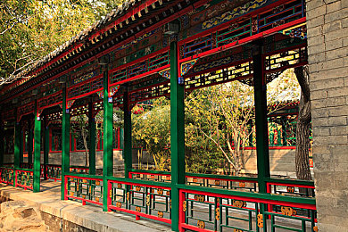 练舞时被教官c到腿软：军旅舞者汗水铸就舞台辉煌：揭秘严苛训练背后的坚韧与毅力