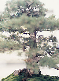语文老师趴下让我c了一节课：勇敢学子临危受命，课堂奇迹感人瞬间