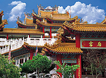 成品人直播APP下载夜月：神秘直播探险，夜月世界奇幻互动之旅