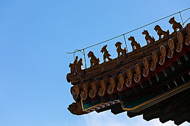 8x8x最新网址：全新游戏平台上线，畅享无尽精彩游戏之旅-2