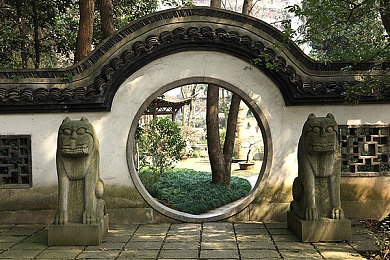 紫阳花の散る的向日葵：探秘《紫阳花与向日葵》奇妙融合：揭秘快乐游戏体验新潮流-1