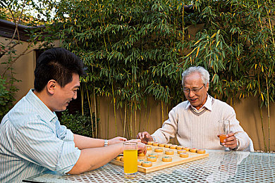 枳积通积枳免费大全：畅游无界，免费盛宴：揭秘游戏新纪元