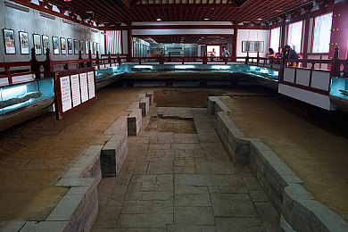爱是不会消失的小熊移植：童年的回音，温暖移植之旅-2