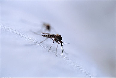 性生交大全免费30分钟：性知识速成宝典，30分钟解锁人生秘密-1