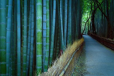 chinaGay体育生白袜网站：白袜网站：探索中国体育生风采，感受运动魅力与拼搏精神