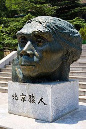 扫楼原味打胶鞋网站：争议再起：扫楼原味打胶鞋网站引发隐私卫生安全担忧，监管措施亟待加强