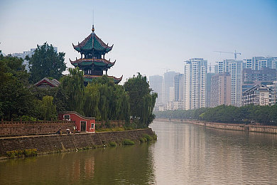 亚洲东方女人毛茸茸：东方毛茸茸魅力大揭秘：自信自然，时尚焕新-4
