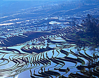 黄色软件5：0：软件巅峰对决，性能卓越，用户至上-2