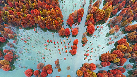 东京热App：网络隐私风暴：隐私侵犯与监管考验激荡时-2