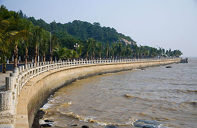 waswas免费下载：音乐盛宴来袭：waswas限时免费，海量好歌等你发掘