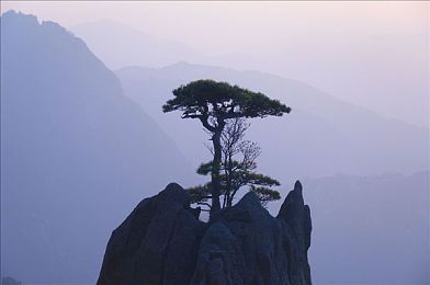 十款app禁止app安装：揭秘网络阴影：十禁App背后的惊心故事-2