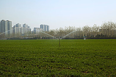 阿娇陈冠希囗交无删减视频：虚拟现实探险：穿越道德边界，探索沉浸式游戏新境界-1