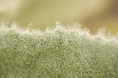 情趣店被粗暴玩弄到喷水：揭秘情趣喷泉：创新互动，感官盛宴背后的魅力世界