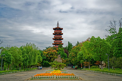 商务旅行戴绿色的帽子：商务旅程中的绿意盎然：轻松畅游《绿帽之旅