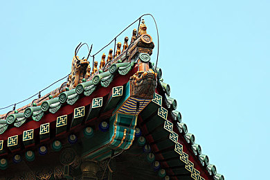 专约老阿姨精神小伙返场多少集：亲情碰撞，笑点不断，两代互动大挑战-2