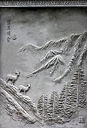 含羞草免费：零元畅游奇幻之旅，揭秘“含羞草”游戏魅力无限-2