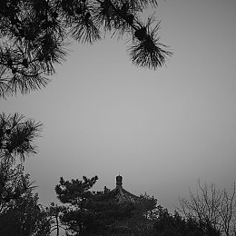 绿巨人www.com：探索绿巨人力量奥秘，www.com引领超级英雄奇幻之旅