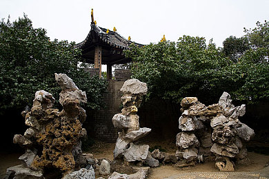 www.仙踪林.com：仙踪林引领潮流，创新游戏体验重塑行业标准-2