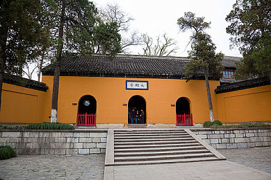 老师的兔子又大又白：校园奇观：巨型白兔“小白”成师生宠儿，共绘和谐自然画卷-3