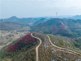 仙踪林老狼免费视频入口：畅游免费视频海洋，体验“仙踪”观影奇幻之旅-1
