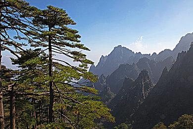 快色：狂飙速度，激情赛道，驾驭极限，尽在《速度狂想曲-2