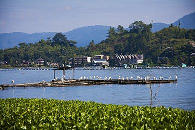 四大美女校花17个农名工名单：校园风采探寻：美校名工风云榜