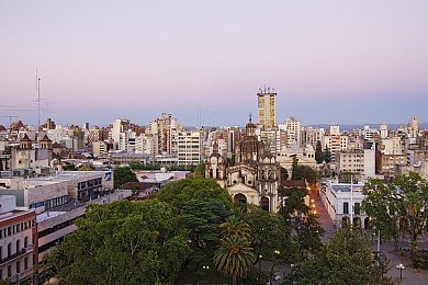 13一14娇小摘花：花海心灵之旅，治愈心情的梦幻摘花乐园-3