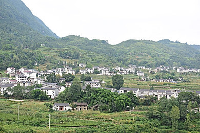 在线观看国产麻豆：麻豆江湖探险记：揭秘特色武侠风，畅游攻略秘籍分享-2