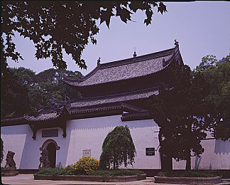 和平精英乳液网站：游戏周边市场新趋势：《和平精英》乳液网站走红，探讨其对产业发展影响
