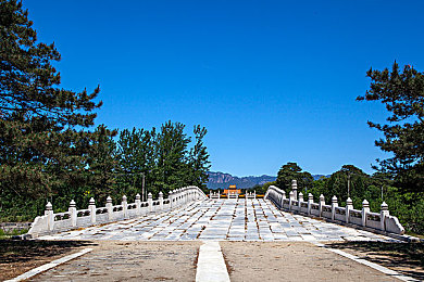 天娱传媒梦梦回家相亲：梦回故乡寻真爱：温馨相亲冒险记-1