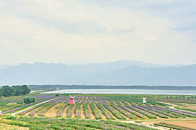 欧美精品 日韩：艺术共鸣，跨越国界：探索欧美日韩精品的视听之旅-1