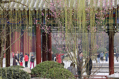世界上最不安的的人：惊心动魄！《不安之旅》带你踏上内心探险之旅，寻找平静与自我-2