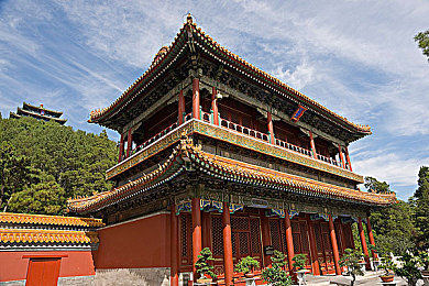 cekc尐女BN凸：《斗罗大陆手游》中的绝世佳人：揭秘cekc尐女BN凸的魅力与攻略-2