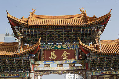 大菠萝福建官方网站入口：Overwatch福建攻略：厦门之晨特色玩法解析，畅享竞技盛宴