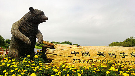 姬小满拿枪奖励自己核心提示：枪声中的荣耀：姬小满激励人心的革命传奇-3