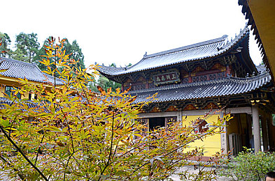 钢钢钢钢钢钢钢好多水免污：厨房清洁革命，轻松洗出快乐时光-1