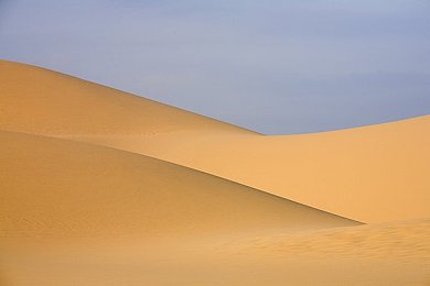 天天操操：全国健身热潮席卷：线上“天天操操”引领生活方式革新-2