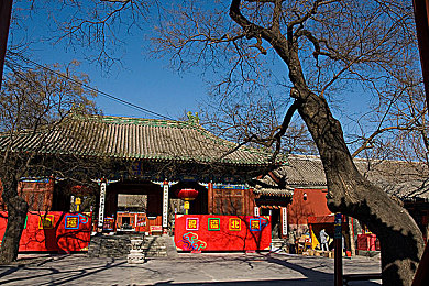 最近免费中文字幕：影界通行证，中文字幕盛宴来袭，畅享观影新篇章-3