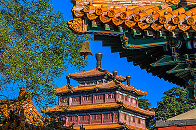 绿巨人wwwwww：勇猛巨兽奇幻征途，超级英雄力量觉醒之旅