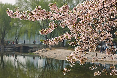 将界23分56秒打扑克：赛场风云：公平竞技，挑战不公-2