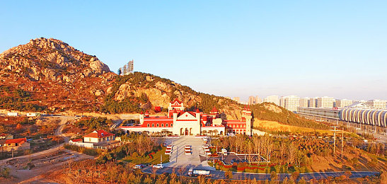 成人免费直播：直播迷途：净化网络，文明守护之旅-3