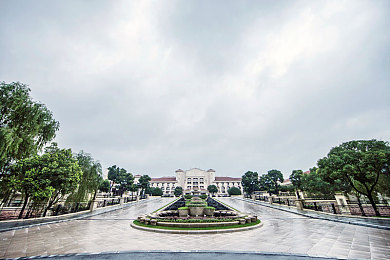 黄片平台：探秘阴影娱乐场：揭秘黄片平台，畅享安全观影之旅