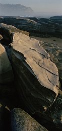 2022亚洲无砖无线码天媒：2022亚洲新媒体浪潮：无砖无线码挑战与机遇并存，探索创新未来趋势-1
