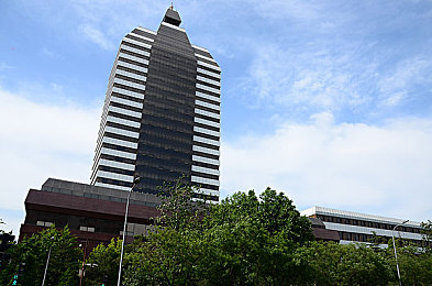 黄色游戏大全3.0.3免费oppo版大全装扮：OPPO专享免费畅游，海量游戏任你装扮