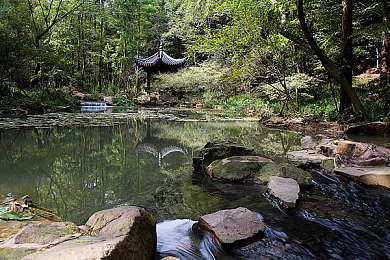 按摩XXXX：揭秘养生新潮流：神奇按摩法，缓解疲劳、焕发身心，让你生活更美好！-3