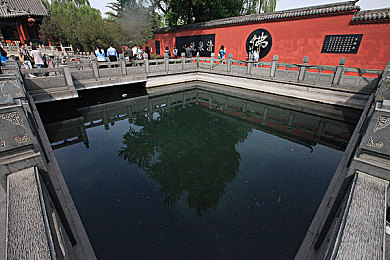 男生被男生 免费视频网站：男性情感探秘，极限挑战兄弟情
