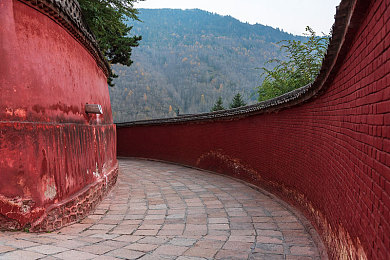 黄色app网站入口：揭秘神秘乐园，探索多彩人生之旅-5