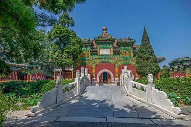 打屁屁秘 免费网站：趣味互动盛宴，畅游生活新天地-4