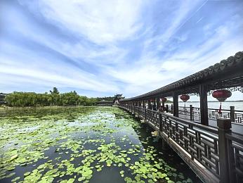 99re6久热只有精品6在线直播：直播新势力：99re6久热平台独领风骚，精品内容引领行业潮流-4