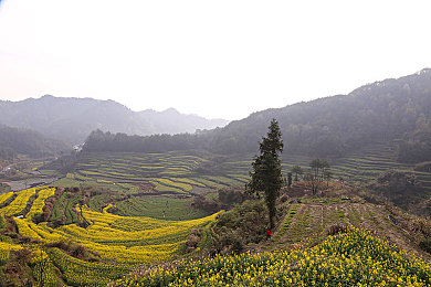 张津瑜蘑菇：踏寻蘑菇秘境，勇闯奇幻蘑菇王国之旅-3